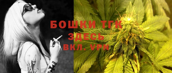 хмурый Тында